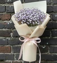 Букет цветов из:  Гипсофила #REPLACE_PRED# Нижней Туре