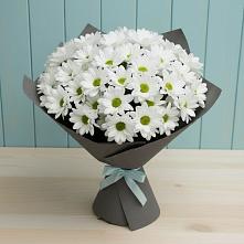 Букет цветов из:  Хризантемы в Нижней Туре