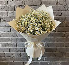 Букет цветов из:  Ромашки в Нижней Туре