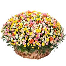 Премиум букет из: Розы #REPLACE_PRED# Нижней Туре