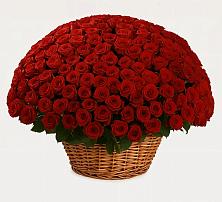 Премиум букет из: Розы #REPLACE_PRED# Нижней Туре